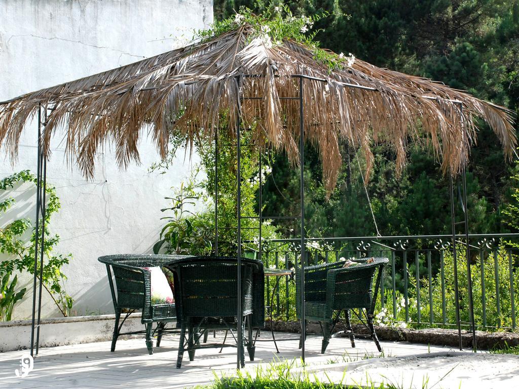 Quinta Dos Barbas Guest House Oliveira do Hospital Eksteriør bilde