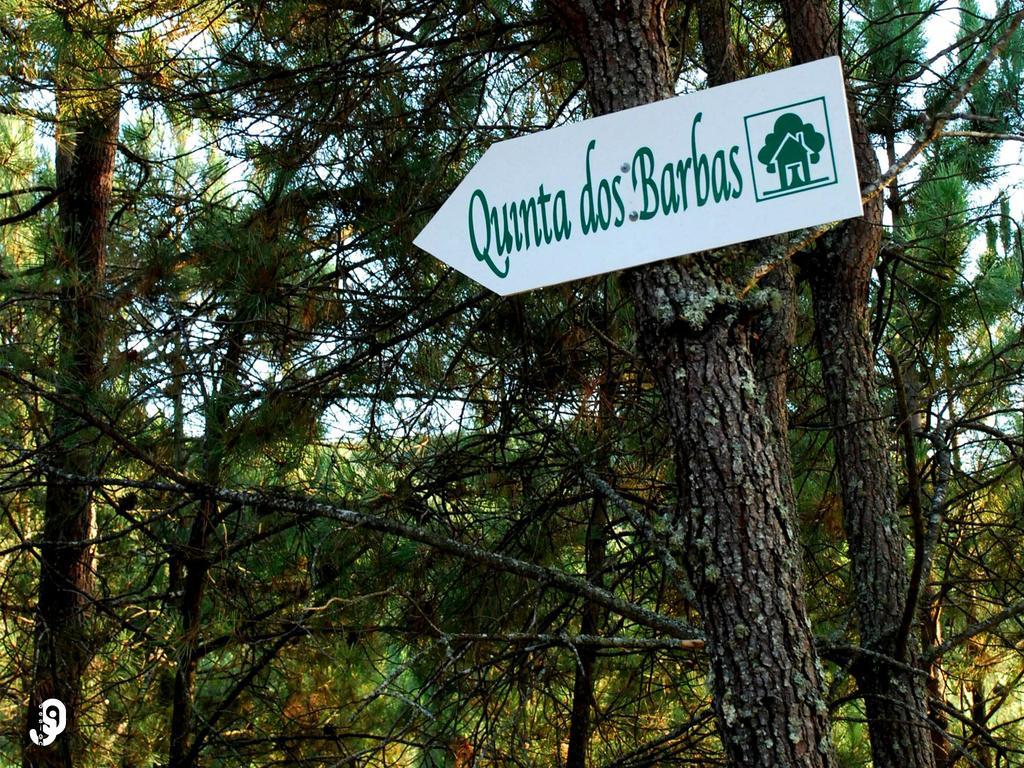 Quinta Dos Barbas Guest House Oliveira do Hospital Eksteriør bilde